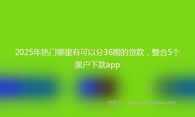 2025年热门哪里有可以分36期的贷款，整合5个黑户下款app