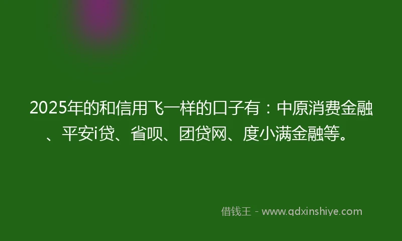 2025年的和信用飞一样的口子有：中原消费金融、平安i贷、省呗、团贷网、度小满金融等。
