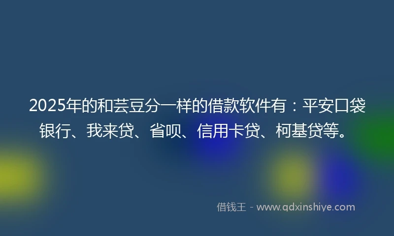 2025年的和芸豆分一样的借款软件有：平安口袋银行、我来贷、省呗、信用卡贷、柯基贷等。