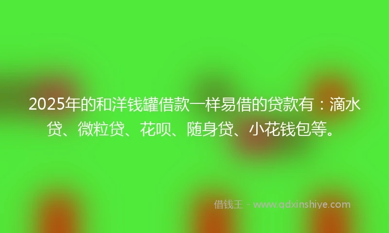 2025年的和洋钱罐借款一样易借的贷款有：滴水贷、微粒贷、花呗、随身贷、小花钱包等。