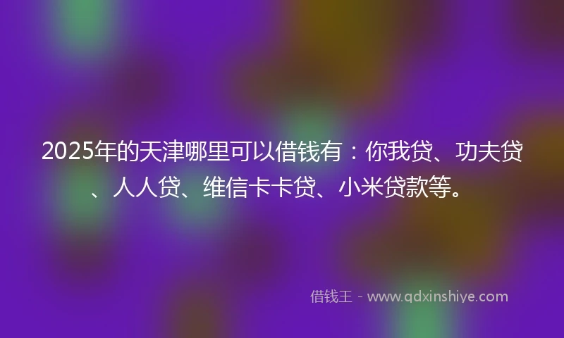2025年的天津哪里可以借钱有：你我贷、功夫贷、人人贷、维信卡卡贷、小米贷款等。