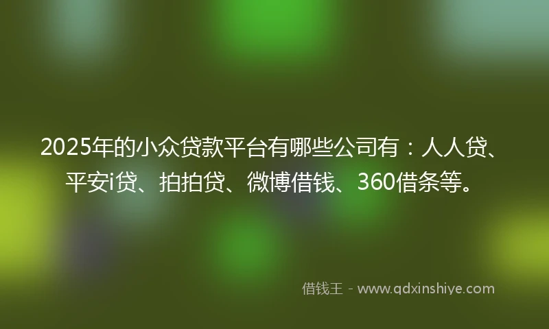 2025年的小众贷款平台有哪些公司有：人人贷、平安i贷、拍拍贷、微博借钱、360借条等。
