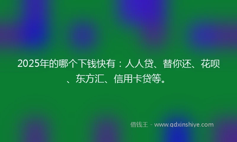 2025年的哪个下钱快有：人人贷、替你还、花呗、东方汇、信用卡贷等。