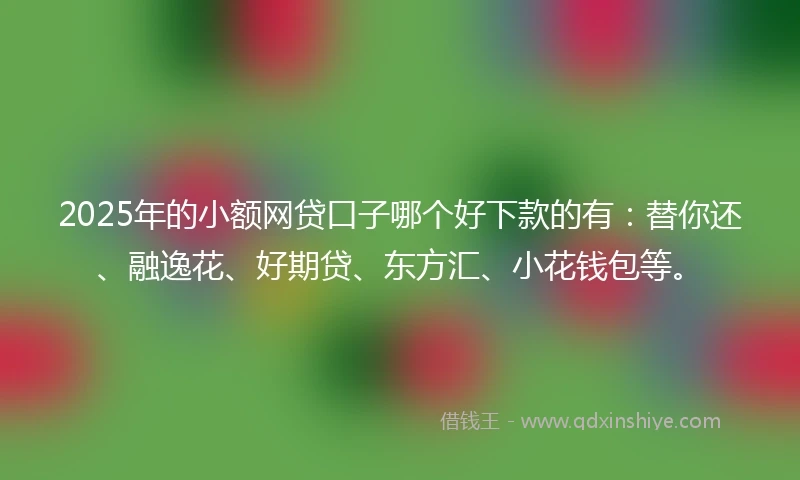 2025年的小额网贷口子哪个好下款的有：替你还、融逸花、好期贷、东方汇、小花钱包等。