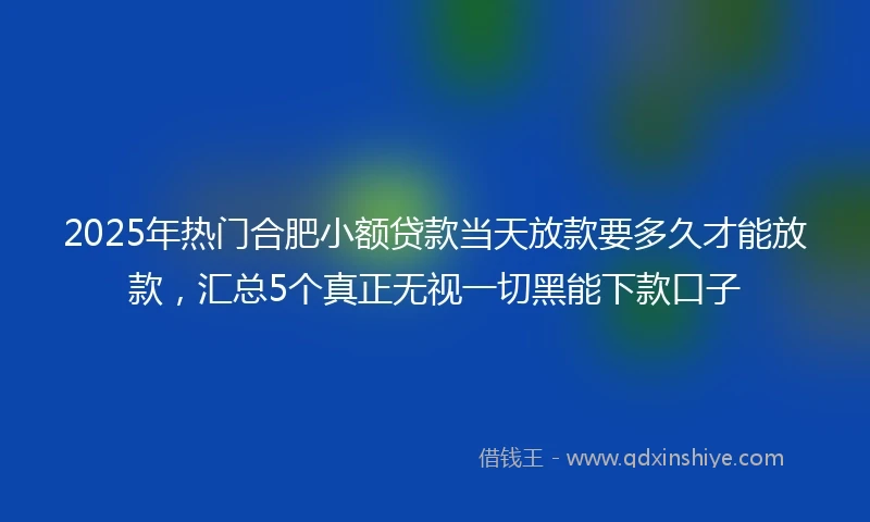 2025年热门合肥小额贷款当天放款要多久才能放款，汇总5个真正无视一切黑能下款口子