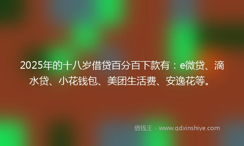 2025年的十八岁借贷百分百下款有：e微贷、滴水贷、小花钱包、美团生活费、安逸花等。