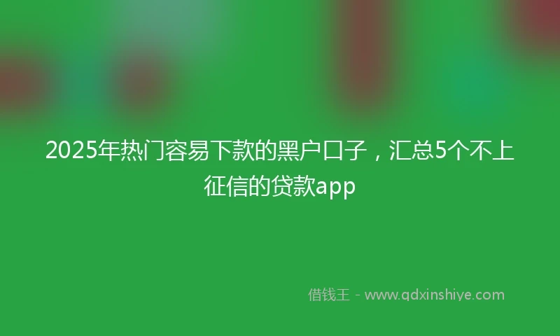 2025年热门容易下款的黑户口子，汇总5个不上征信的贷款app