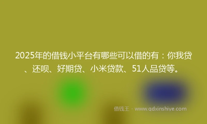 2025年的借钱小平台有哪些可以借的有：你我贷、还呗、好期贷、小米贷款、51人品贷等。