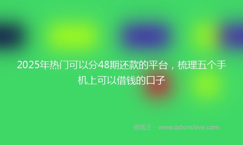 2025年热门可以分48期还款的平台，梳理五个手机上可以借钱的口子