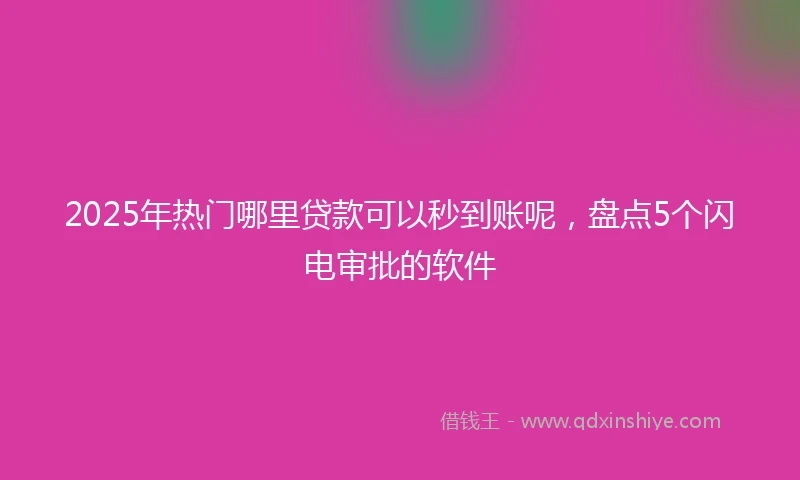 2025年热门哪里贷款可以秒到账呢，盘点5个闪电审批的软件