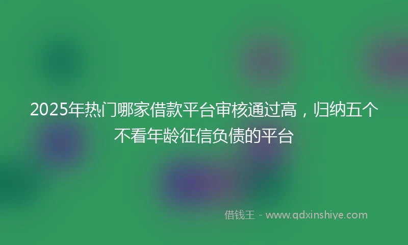 2025年热门哪家借款平台审核通过高，归纳五个不看年龄征信负债的平台