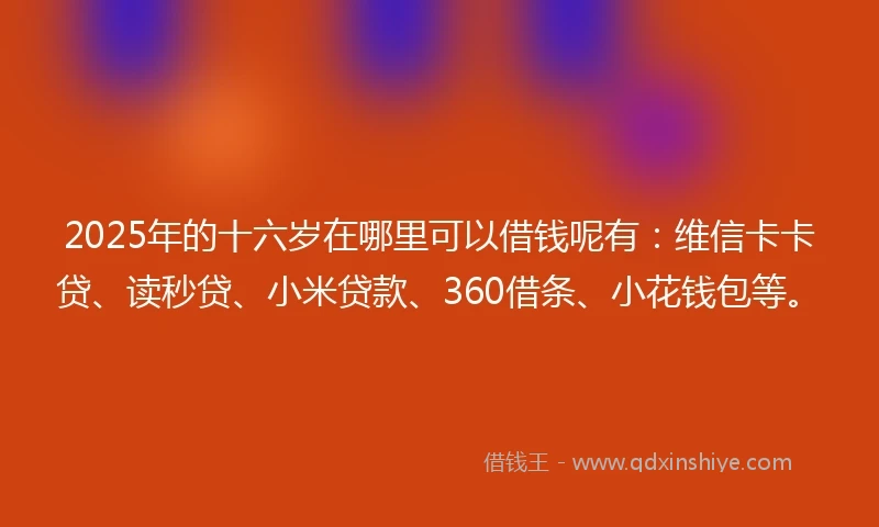 2025年的十六岁在哪里可以借钱呢有：维信卡卡贷、读秒贷、小米贷款、360借条、小花钱包等。