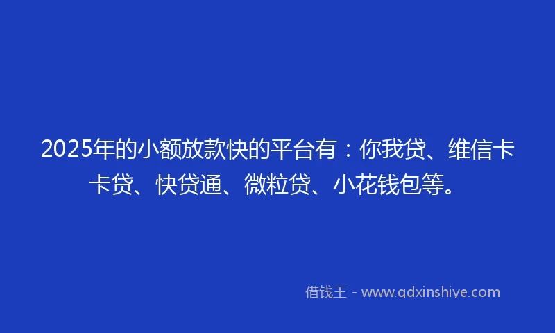 2025年的小额放款快的平台有：你我贷、维信卡卡贷、快贷通、微粒贷、小花钱包等。