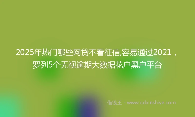 2025年热门哪些网贷不看征信,容易通过2021，罗列5个无视逾期大数据花户黑户平台