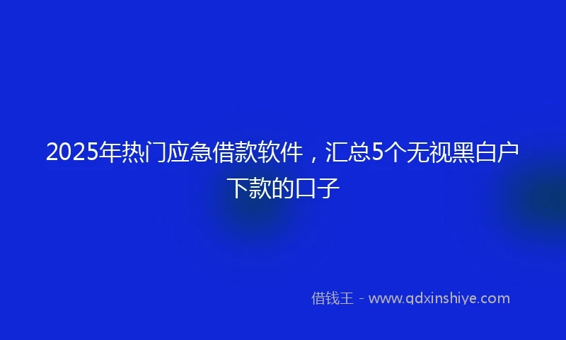 2025年热门应急借款软件，汇总5个无视黑白户下款的口子