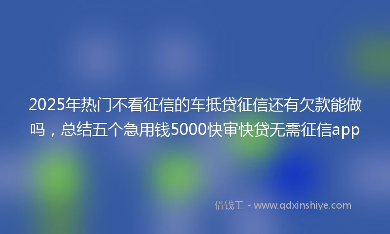 2025年热门不看征信的车抵贷征信还有欠款能做吗，总结五个急用钱5000快审快贷无需征信app