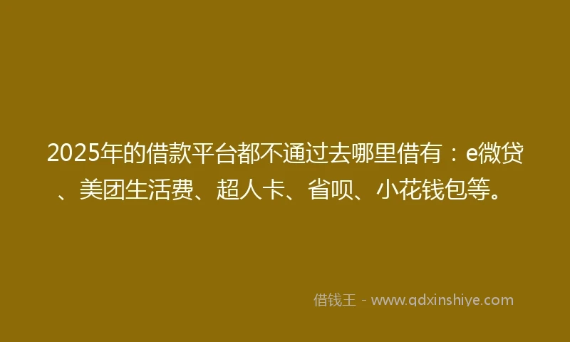 2025年的借款平台都不通过去哪里借有：e微贷、美团生活费、超人卡、省呗、小花钱包等。