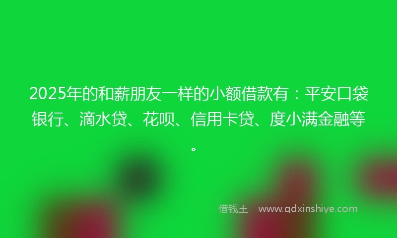 2025年的和薪朋友一样的小额借款有：平安口袋银行、滴水贷、花呗、信用卡贷、度小满金融等。