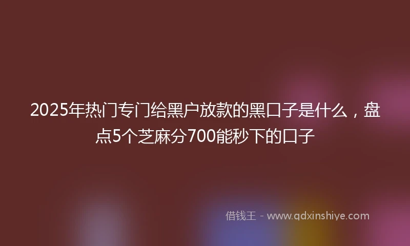 2025年热门专门给黑户放款的黑口子是什么，盘点5个芝麻分700能秒下的口子
