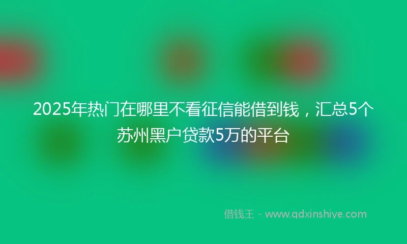 2025年热门在哪里不看征信能借到钱，汇总5个苏州黑户贷款5万的平台