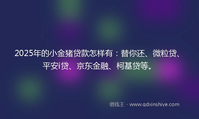 2025年的小金猪贷款怎样有：替你还、微粒贷、平安i贷、京东金融、柯基贷等。