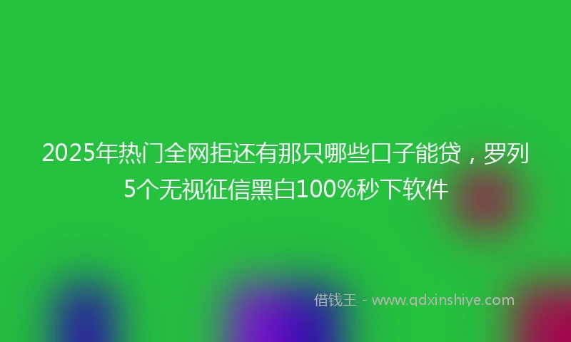2025年热门全网拒还有那只哪些口子能贷，罗列5个无视征信黑白100%秒下软件