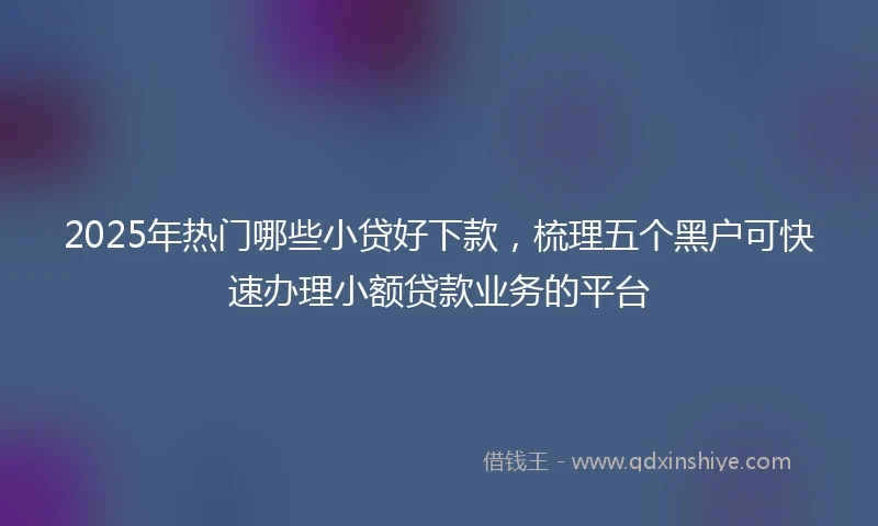 2025年热门哪些小贷好下款，梳理五个黑户可快速办理小额贷款业务的平台