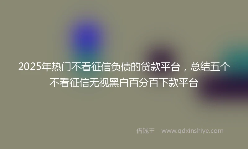 2025年热门不看征信负债的贷款平台，总结五个不看征信无视黑白百分百下款平台