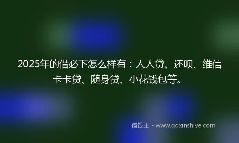 2025年的借必下怎么样有：人人贷、还呗、维信卡卡贷、随身贷、小花钱包等。