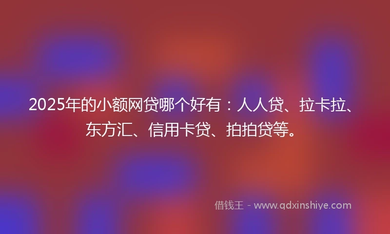 2025年的小额网贷哪个好有：人人贷、拉卡拉、东方汇、信用卡贷、拍拍贷等。