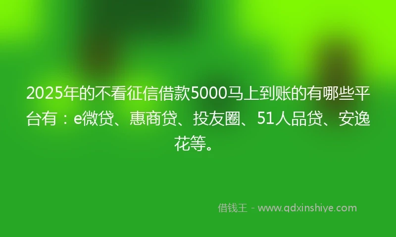 2025年的不看征信借款5000马上到账的有哪些平台有：e微贷、惠商贷、投友圈、51人品贷、安逸花等。
