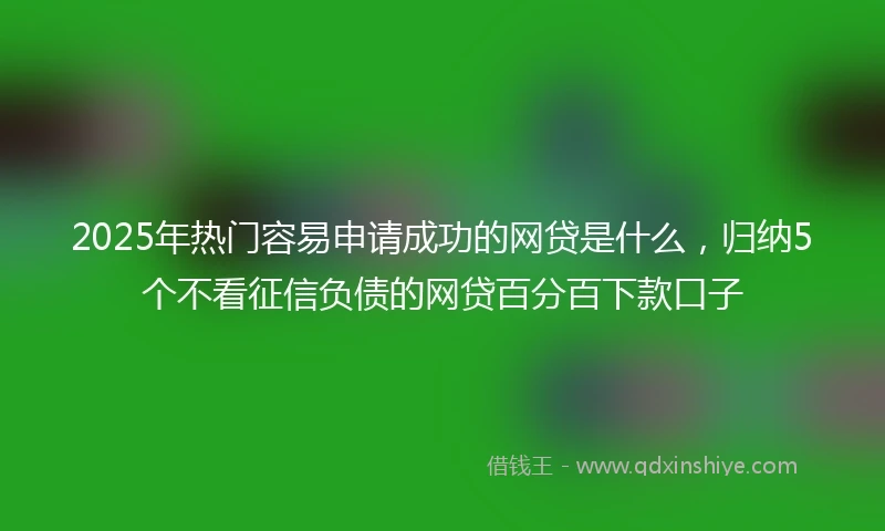 2025年热门容易申请成功的网贷是什么，归纳5个不看征信负债的网贷百分百下款口子