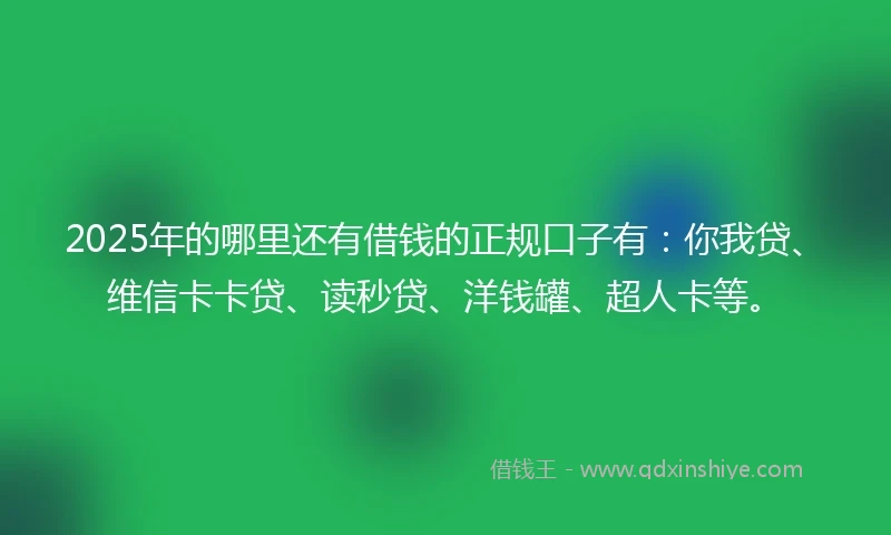 2025年的哪里还有借钱的正规口子有：你我贷、维信卡卡贷、读秒贷、洋钱罐、超人卡等。