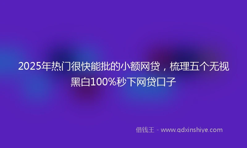 2025年热门很快能批的小额网贷，梳理五个无视黑白100%秒下网贷口子