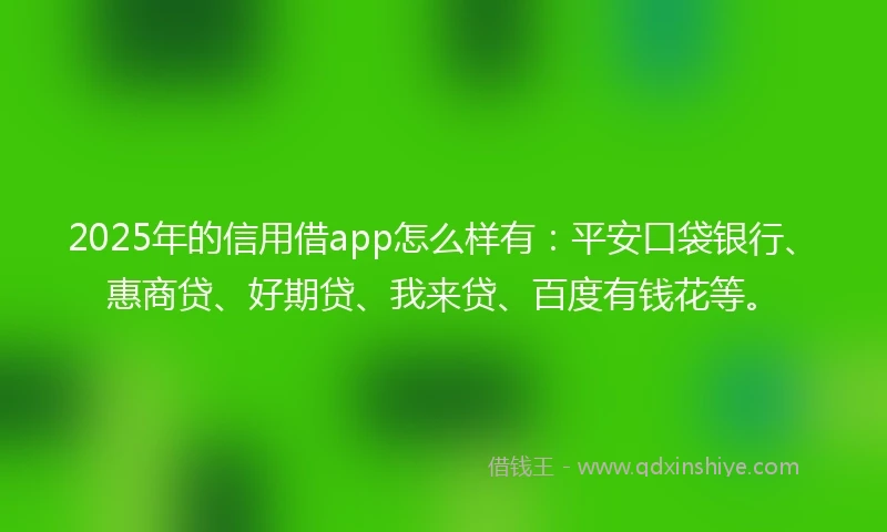 2025年的信用借app怎么样有：平安口袋银行、惠商贷、好期贷、我来贷、百度有钱花等。