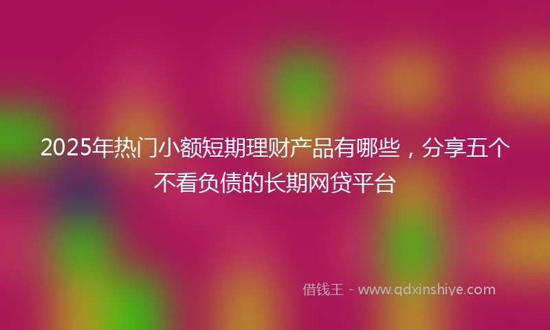 2025年热门小额短期理财产品有哪些，分享五个不看负债的长期网贷平台