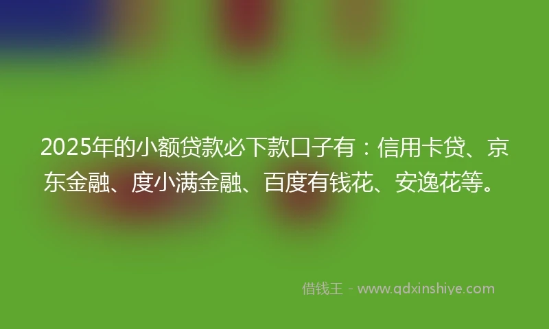 2025年的小额贷款必下款口子有：信用卡贷、京东金融、度小满金融、百度有钱花、安逸花等。