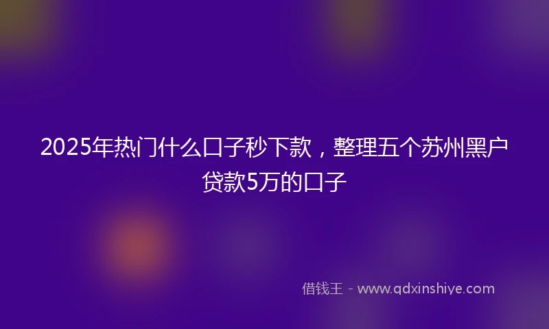 2025年热门什么口子秒下款，整理五个苏州黑户贷款5万的口子