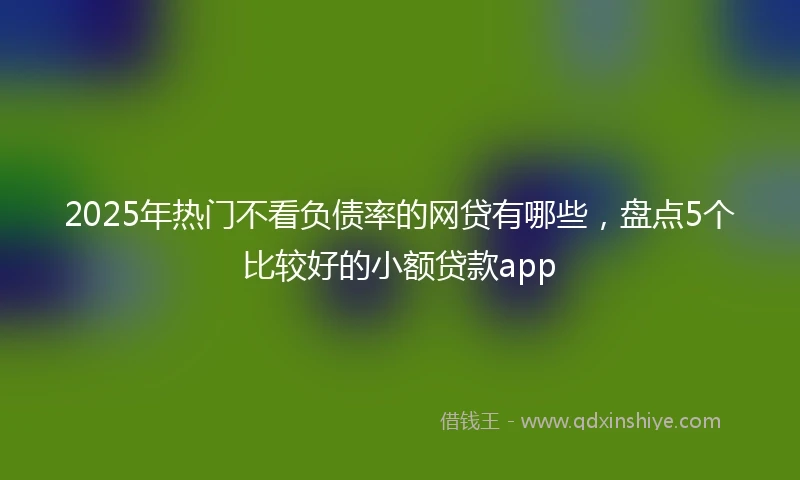 2025年热门不看负债率的网贷有哪些，盘点5个比较好的小额贷款app