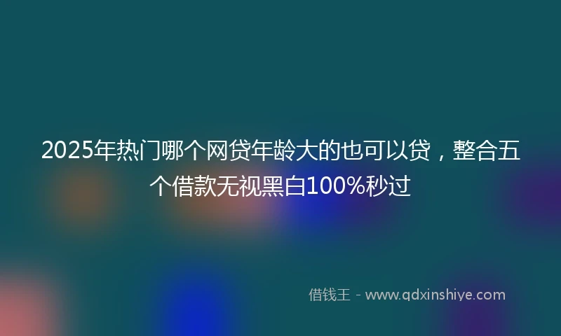 2025年热门哪个网贷年龄大的也可以贷，整合五个借款无视黑白100%秒过