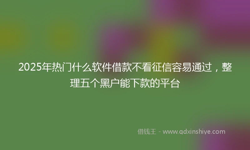 2025年热门什么软件借款不看征信容易通过，整理五个黑户能下款的平台