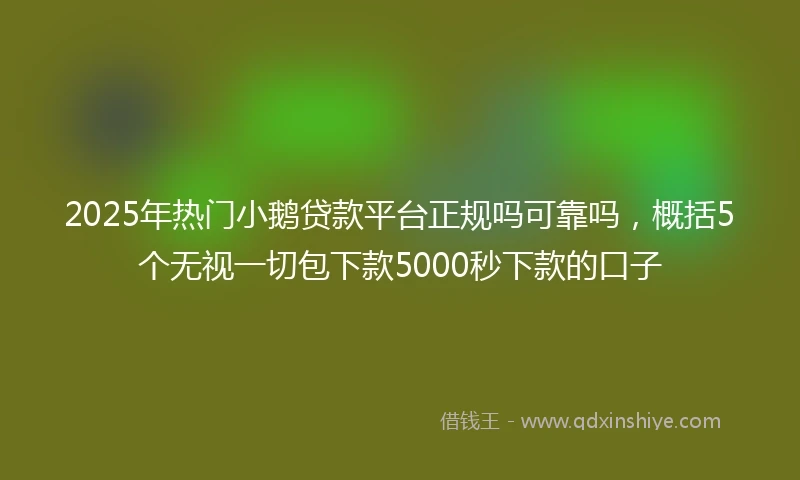 2025年热门小鹅贷款平台正规吗可靠吗，概括5个无视一切包下款5000秒下款的口子