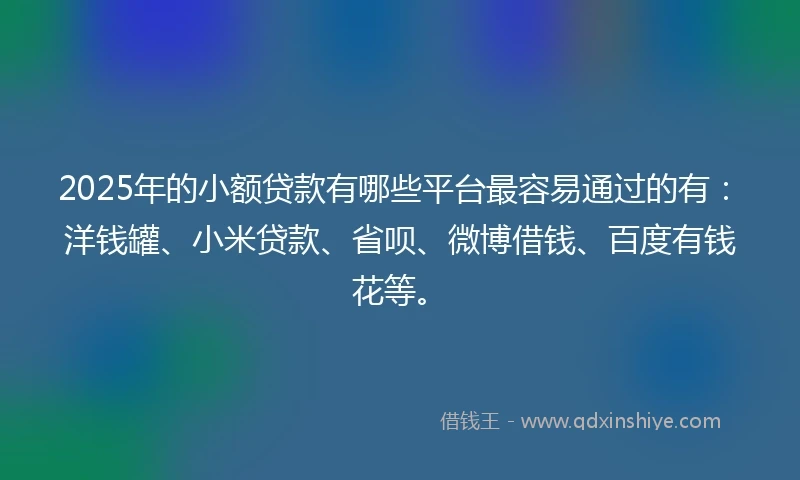 2025年的小额贷款有哪些平台最容易通过的有：洋钱罐、小米贷款、省呗、微博借钱、百度有钱花等。