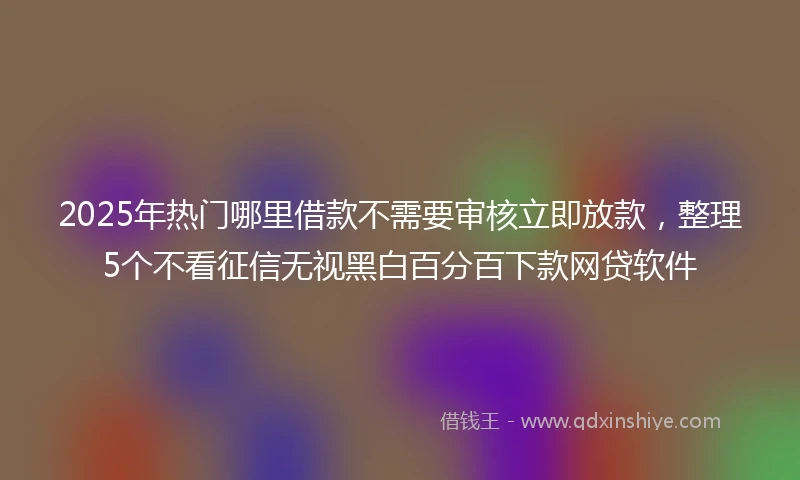 2025年热门哪里借款不需要审核立即放款，整理5个不看征信无视黑白百分百下款网贷软件
