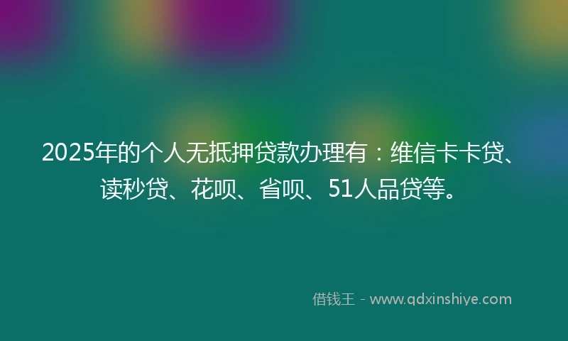 2025年的个人无抵押贷款办理有：维信卡卡贷、读秒贷、花呗、省呗、51人品贷等。