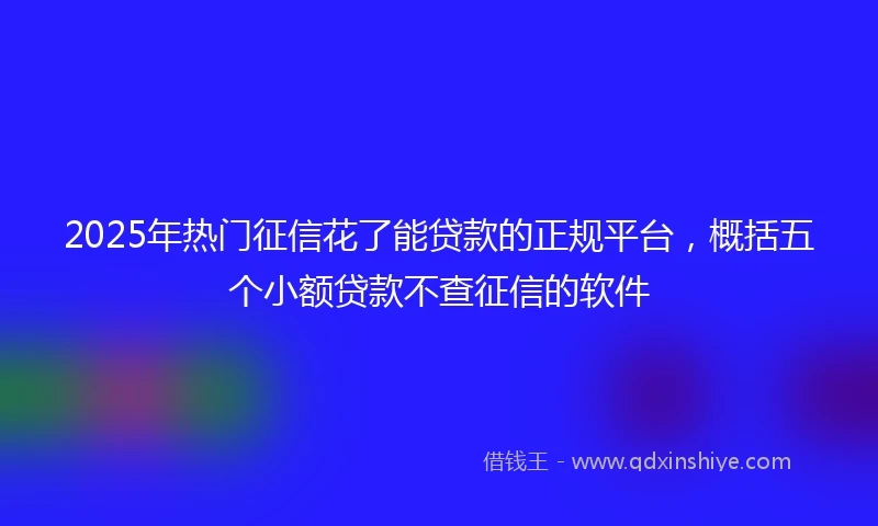 2025年热门征信花了能贷款的正规平台，概括五个小额贷款不查征信的软件