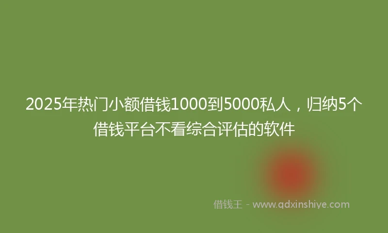 2025年热门小额借钱1000到5000私人，归纳5个借钱平台不看综合评估的软件
