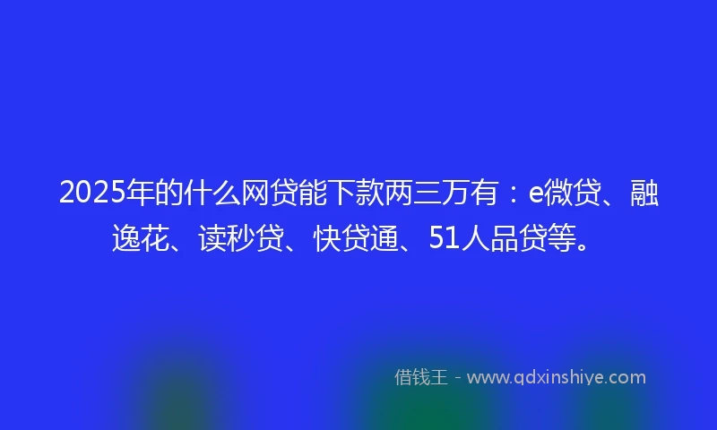 2025年的什么网贷能下款两三万有：e微贷、融逸花、读秒贷、快贷通、51人品贷等。