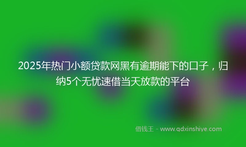 2025年热门小额贷款网黑有逾期能下的口子，归纳5个无忧速借当天放款的平台