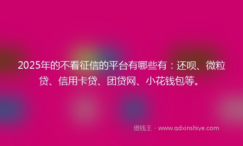 2025年的不看征信的平台有哪些有：还呗、微粒贷、信用卡贷、团贷网、小花钱包等。